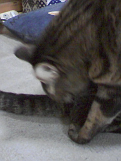 090126_2003~01.jpg