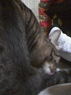 090126_2004~02.jpg